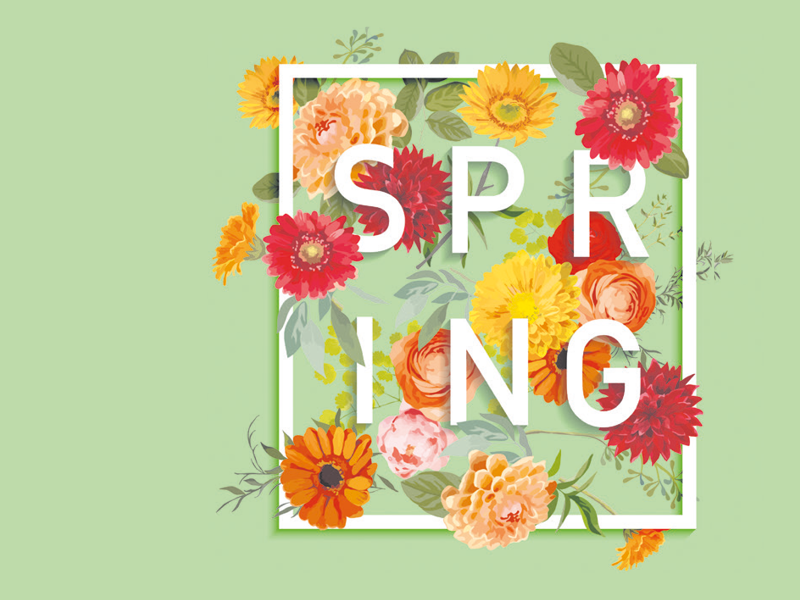 Jetzt blühen euch unsere Frühlingsdeals!